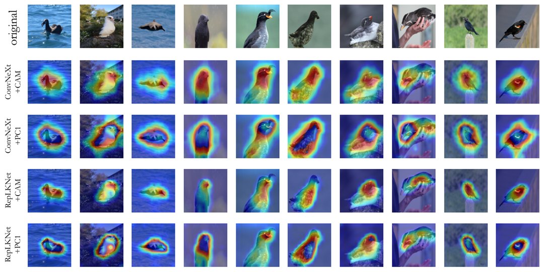 CAM Back Again teaser: class activation maps from large kernel CNNs