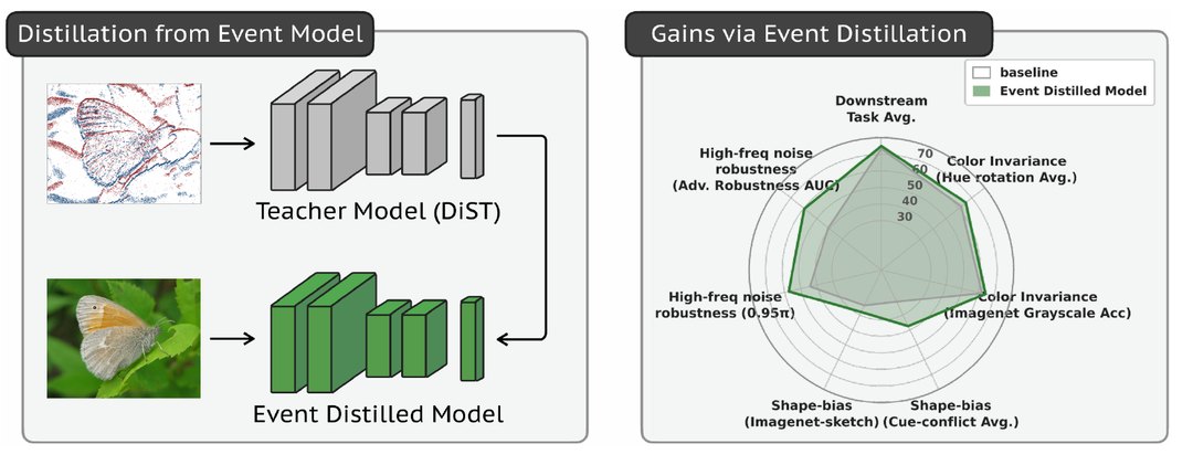 The Shape of Events teaser: distillation from an event-camera teacher and the resulting gains